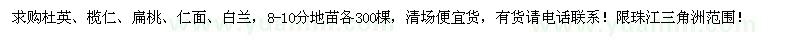 求購(gòu)杜英 欖仁 扁桃 仁面