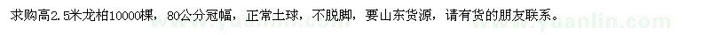 求購高2.5米龍柏10000棵