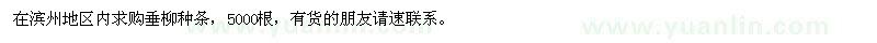 求購垂柳種條