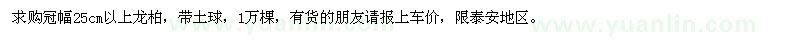 求購冠幅25cm以上龍柏