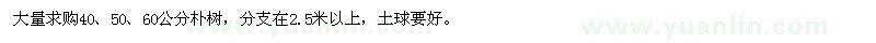 求購40,50,60公分樸樹