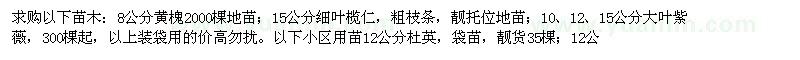 求購(gòu)黃槐、細(xì)葉欖仁、大葉紫薇