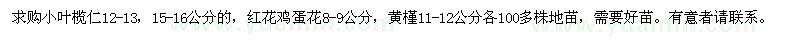 求購小葉欖仁,紅花雞蛋花,黃槿