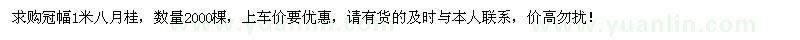 求購(gòu)冠幅1米八月桂2000棵