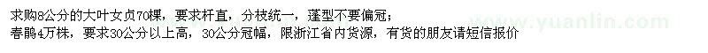 求購大葉女貞、春鵑