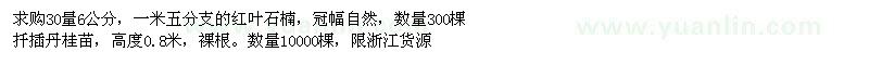 求購紅葉石楠、丹桂苗