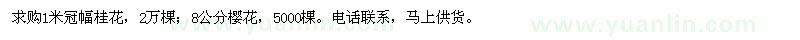 求購桂花,櫻花
