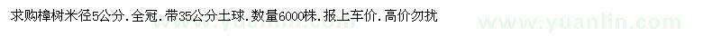 求購樟樹
