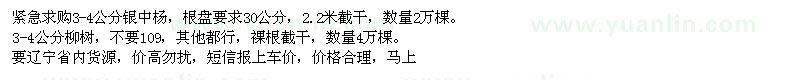 求購銀中楊,柳樹