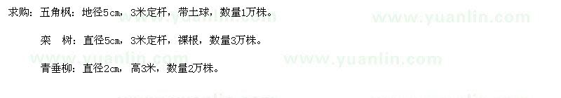 求購五角楓,欒樹直徑
