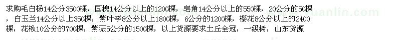 求購毛白楊、國槐、皂角、白玉蘭、紫葉李、櫻花、花楸、紫葉李