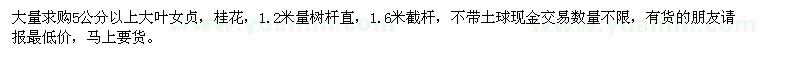 求購(gòu)大葉女貞,桂花