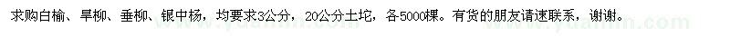 求購白榆、旱柳、垂柳、銀中楊