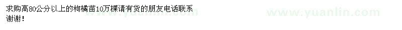 求購枸橘苗