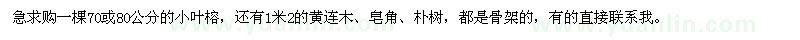 求購(gòu)小葉榕,黃連木,皂角,樸樹(shù)