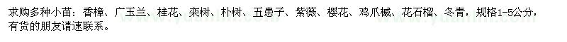 求購香樟,廣玉蘭,桂花,欒樹,樸樹等小苗