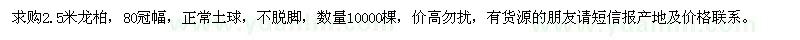 求購2.5米龍柏
