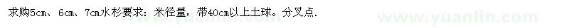 求購5cm、6cm、7cm水杉