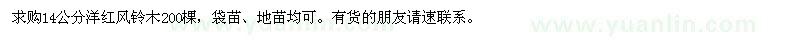 求購14公分洋紅風(fēng)鈴木