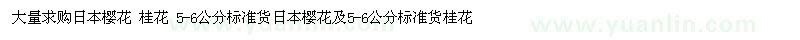 求購日本櫻花 桂花
