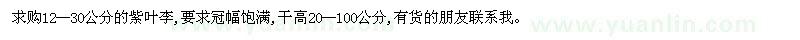 求購紫葉李