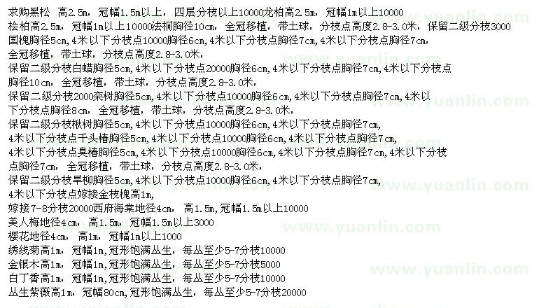 求購黑松、檜柏、國槐、楸樹