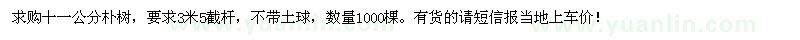 求購十一公分樸樹