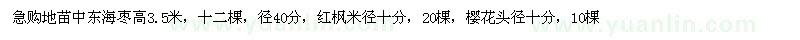 求購(gòu)中東海棗 紅楓 櫻花地苗
