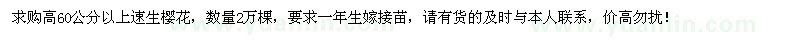 求購高60公分以上速生櫻花2萬棵