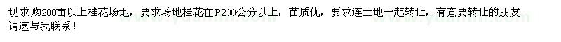 求購桂花苗場