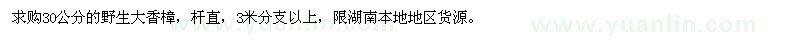 求購30公分的野生大香樟