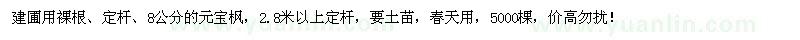 求購(gòu)8公分元寶楓