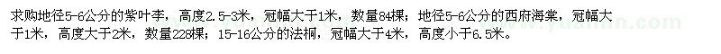 求購(gòu)紫葉李,西府海棠,法桐
