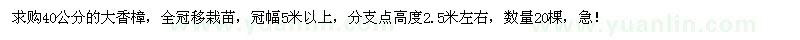 求購40公分的大香樟