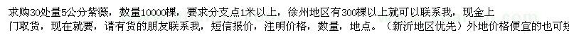 求購紫薇
