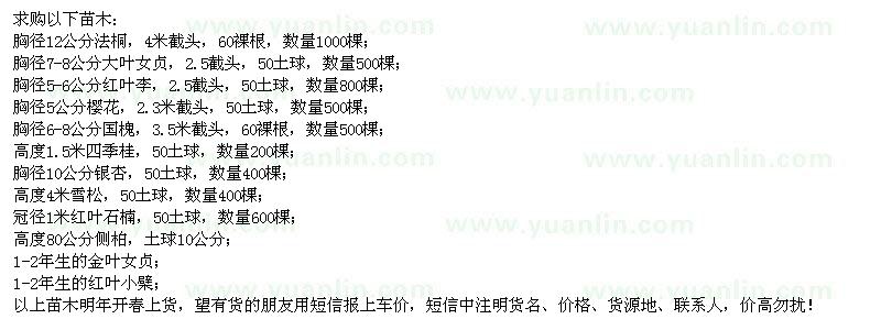 求購(gòu)法桐、大葉女貞、紅葉李、櫻花等苗木