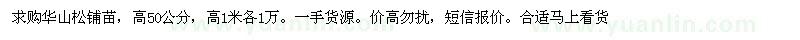 求購(gòu)華山松鋪苗