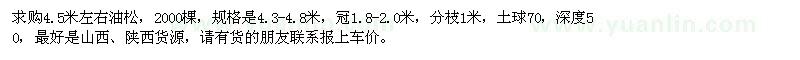 求購(gòu)4.5米左右油松2000棵