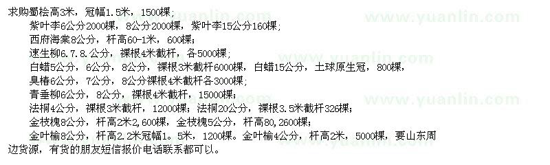 求購蜀檜、紫葉李、西府海棠、速生柳、白蠟、臭椿、青垂柳、法桐、金枝槐、金葉榆