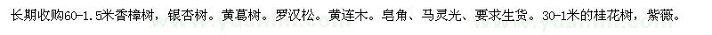 求購(gòu)100cm以上的香樟。銀杏。黃葛樹(shù)