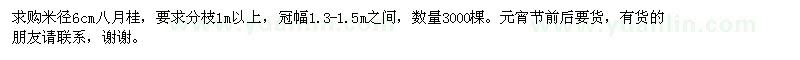 求購米徑6cm八月桂