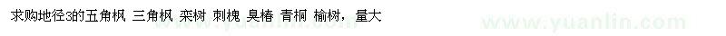 求購(gòu)五角楓、三角楓、欒樹(shù)、刺槐