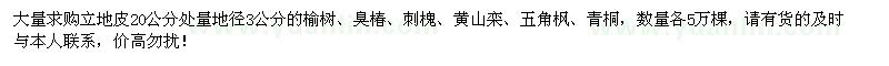 求購(gòu)地徑3公分榆樹(shù)、臭椿、刺槐、黃山欒、五角楓、青桐