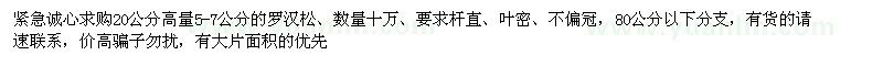 求購20公分高量5-7公分的羅漢松