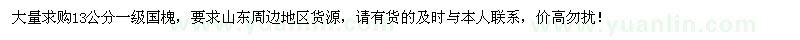 求購大量13公分國槐