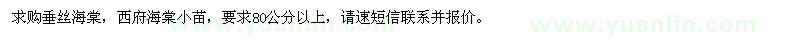 求購垂絲海棠,西府海棠小苗
