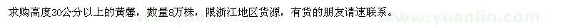 求購高度30公分以上的黃馨