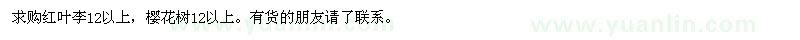 求購紅葉李12以上，櫻花樹12以上