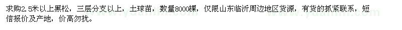 求購2.5米以上黑松8000棵