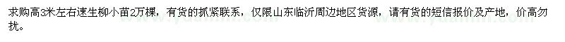 求購高3米左右速生柳小苗2萬棵